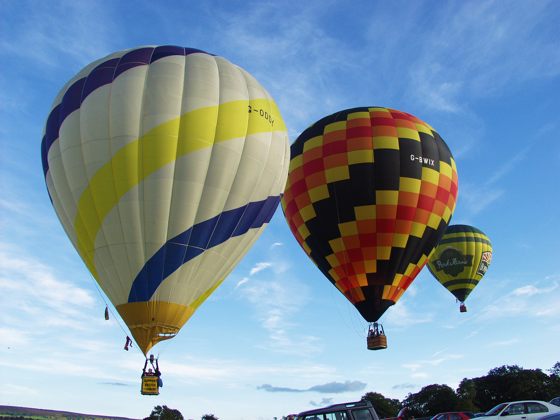 Chatsworth Balloons Images by